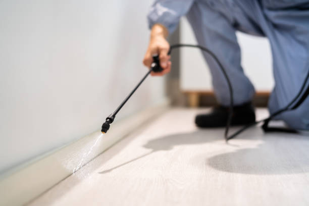 Best Wasp Removal Services  in Bayou Lourse, LA
