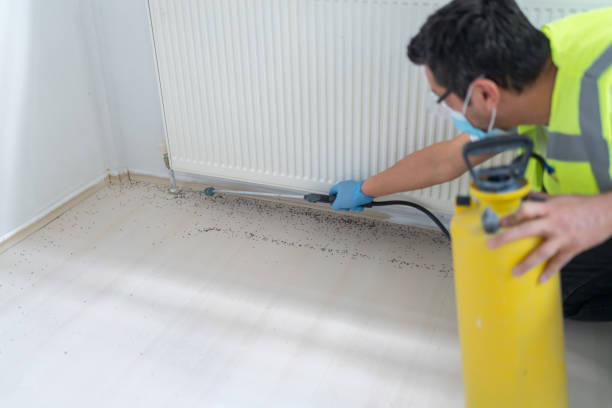 Wasp Removal Services in Bayou Lourse, LA